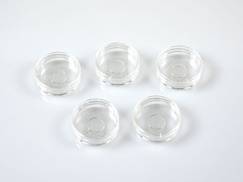 Glass Petri dishes